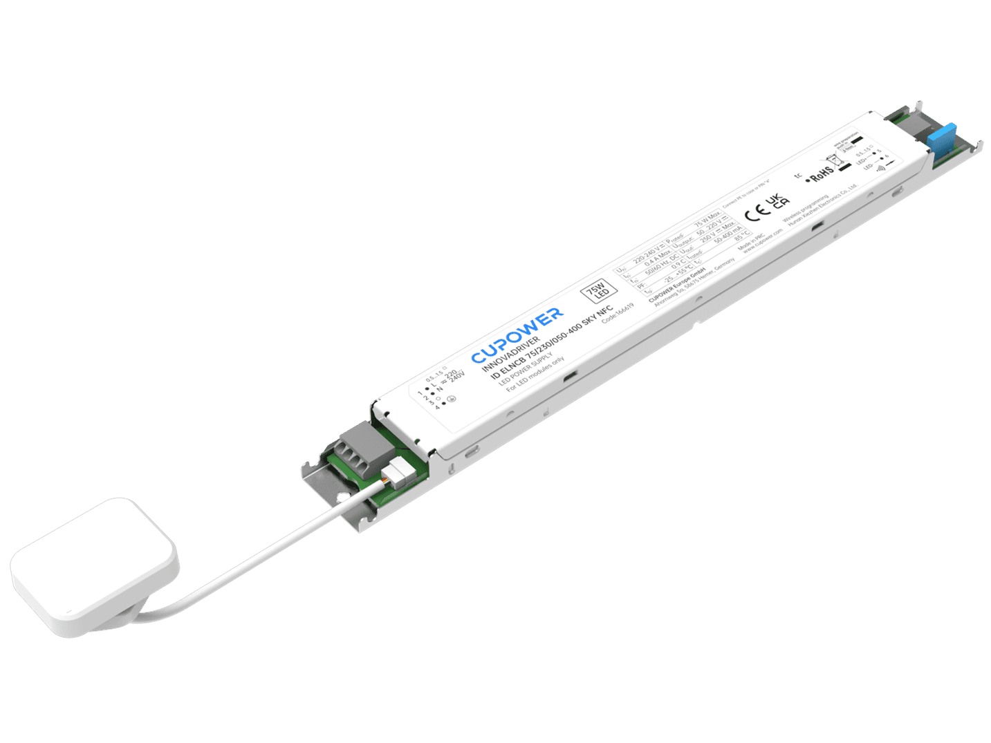 新75